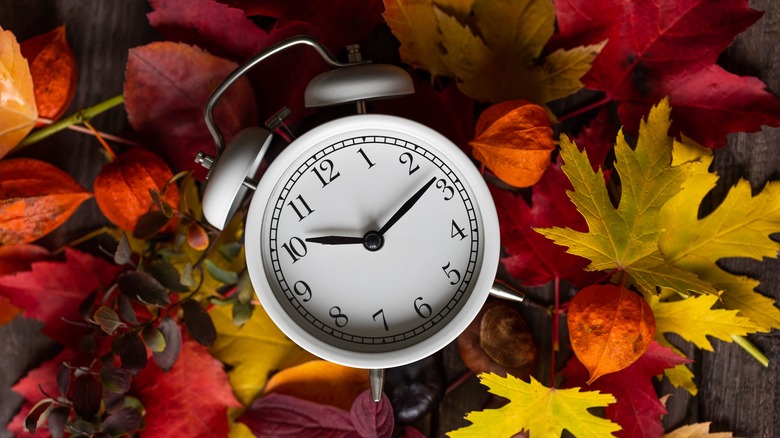  White clock on leaves