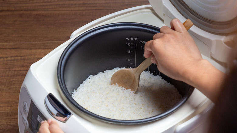 Rice cooker with spoon