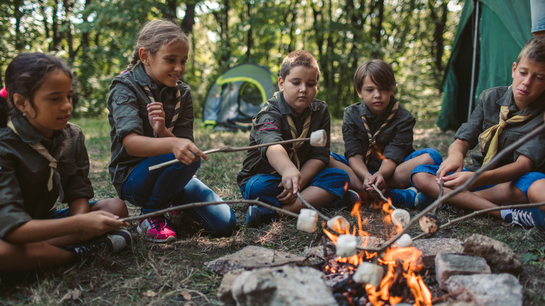 scouts roasting marshmallows