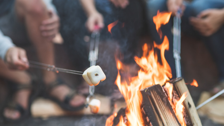 roasting marshmallows on fire