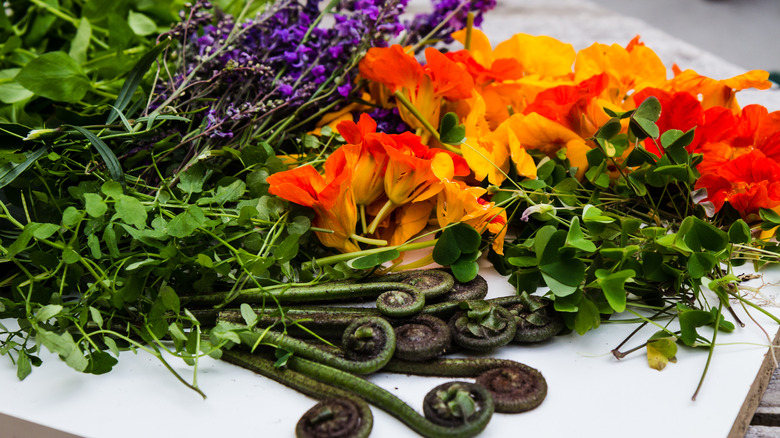 foraged vegetables purples reds yellows