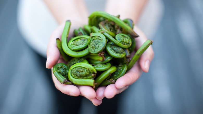 holding green grilled fiddleheads