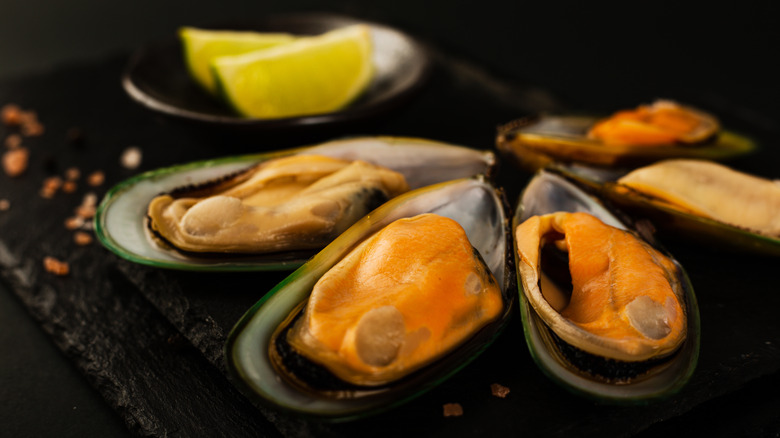 green lipped mussels shells