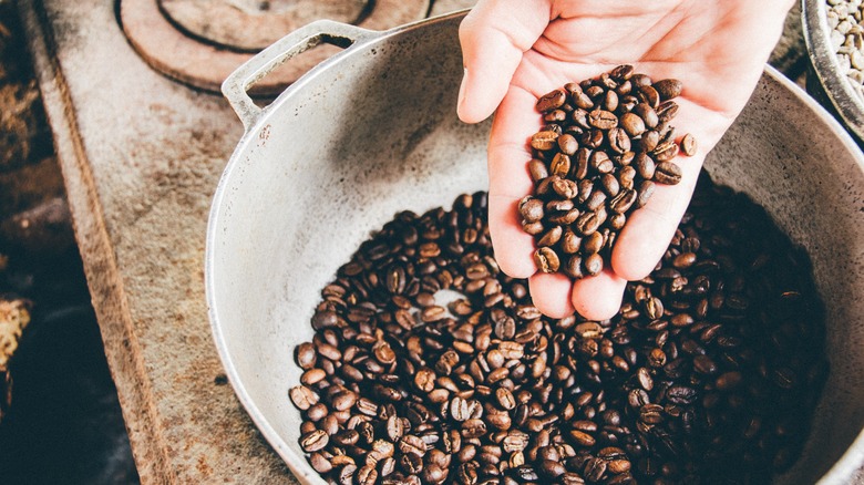 Hand holding coffee beans