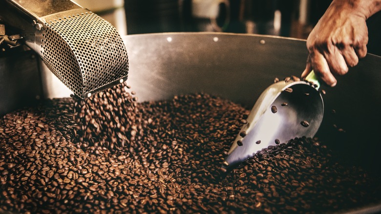 Coffee beans in drum