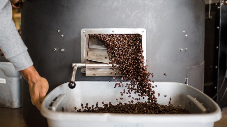 Coffee beans falling into bin 