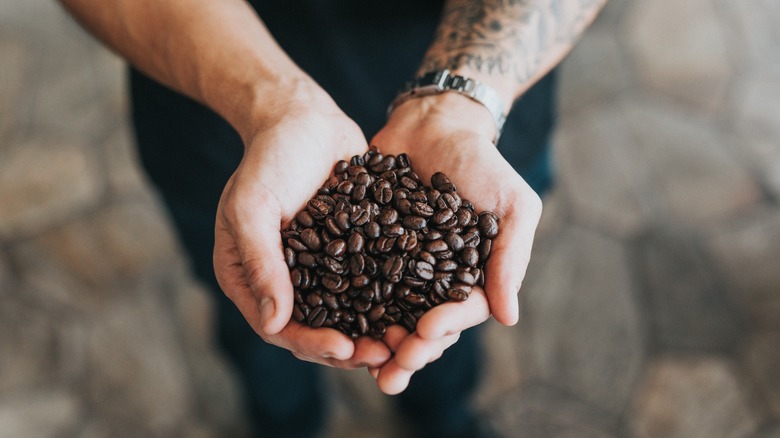 Hands cupping coffee beans