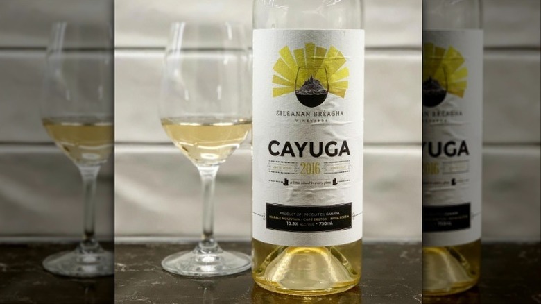 Cayuga wine bottle