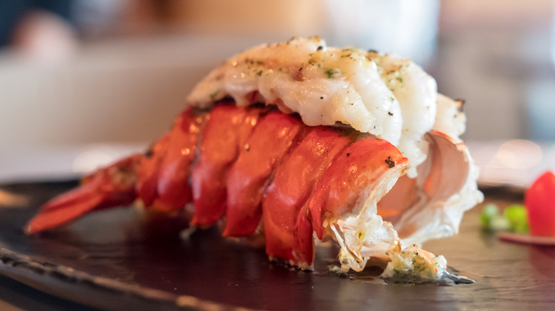 cooked lobster tail