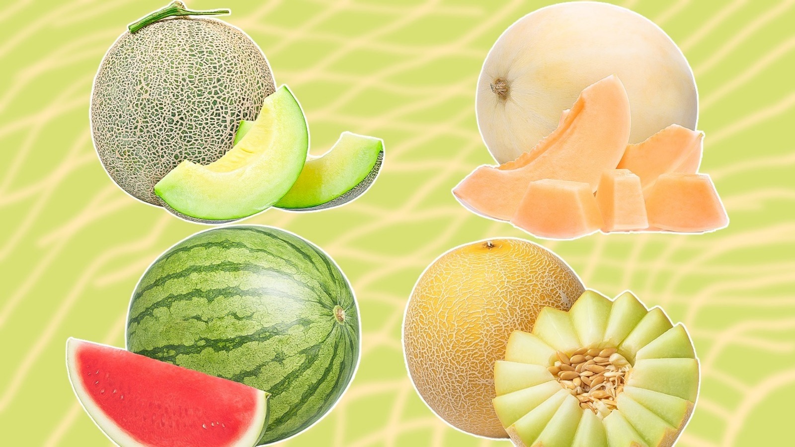 Types Of Melons, Explained