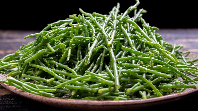 Bowl of fresh salicornia 