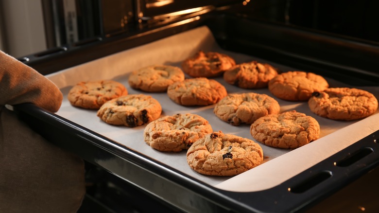 Homemade chocolate chip cookies 