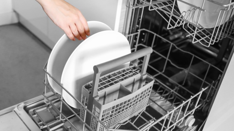 Dishes in a dishwasher