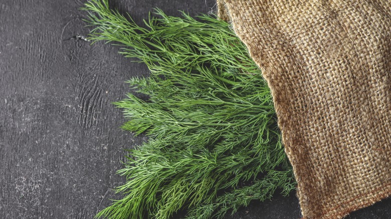 fresh dill in burlap bag