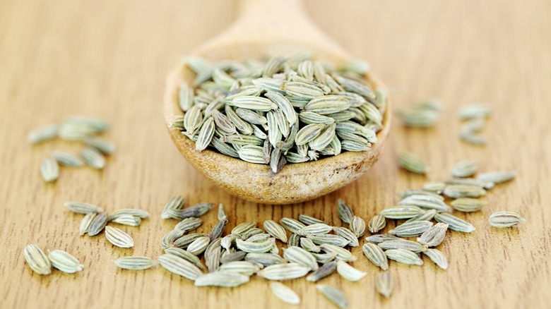 fennel seeds in wooden spoon