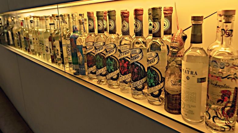 bottles of mezcal on shelf