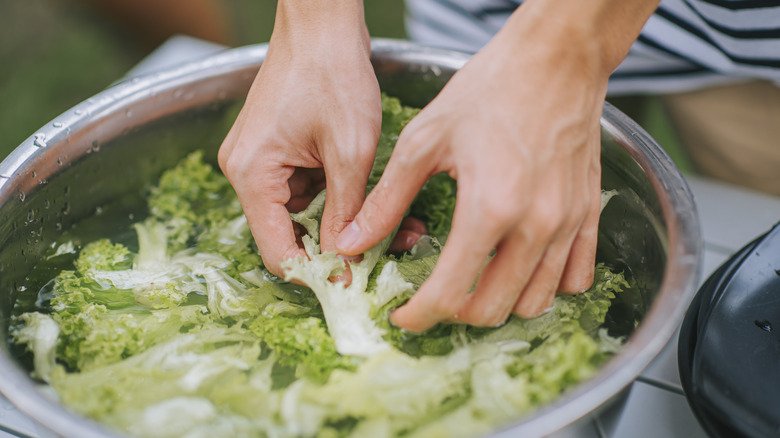 A person immersing broccoli in water