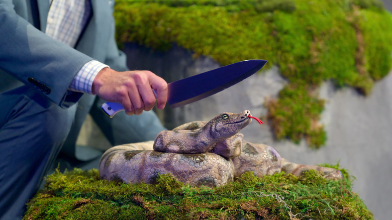 Host about to slice into a snake cake