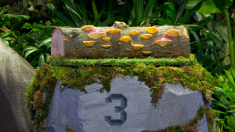 Log cake sitting on moss