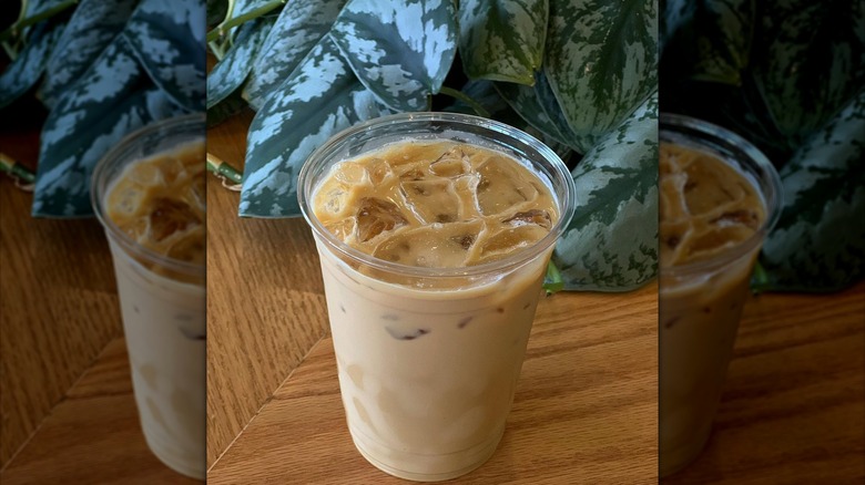 Iced latte and plant