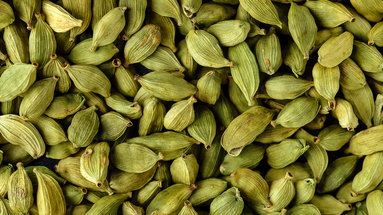 Close-up of cardamom pods