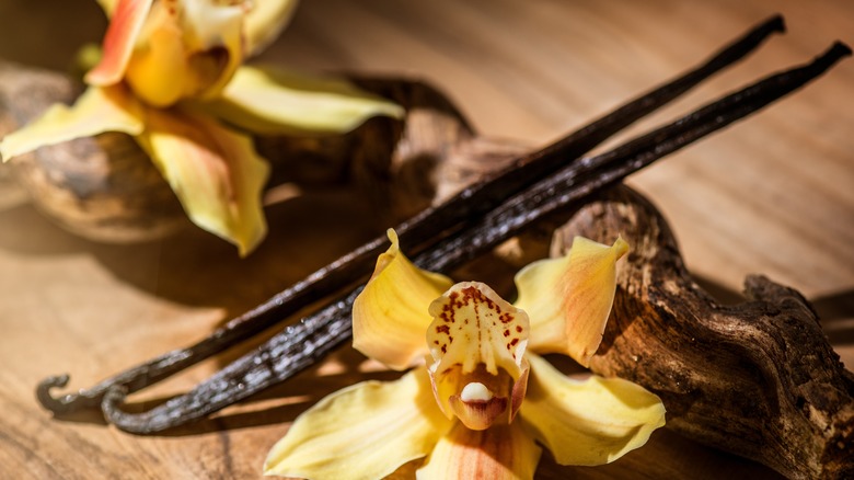 Vanilla bean close-up