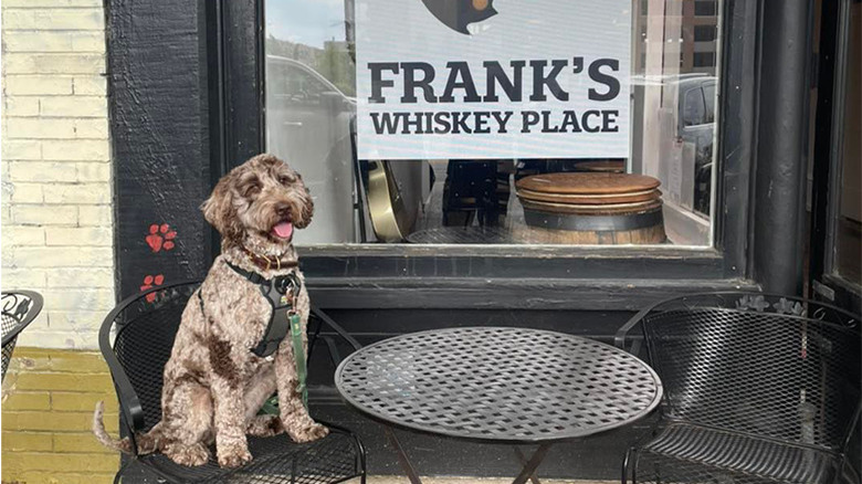 Dog outside Frank's Whiskey Place