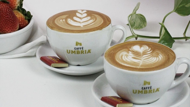 Caffé Umbria lattes