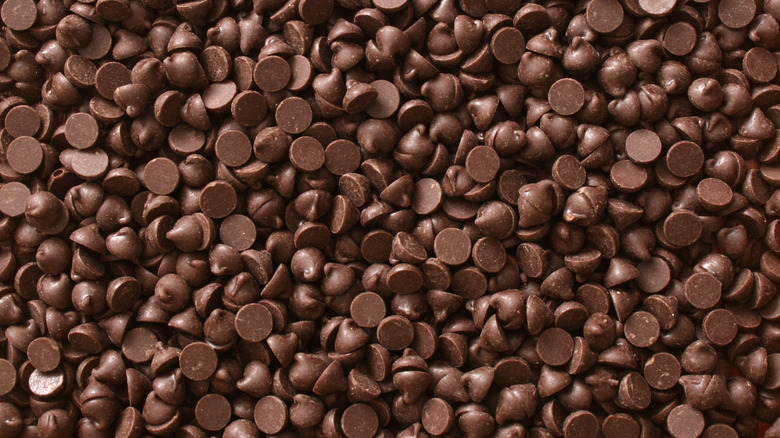 pile of chocolate chips