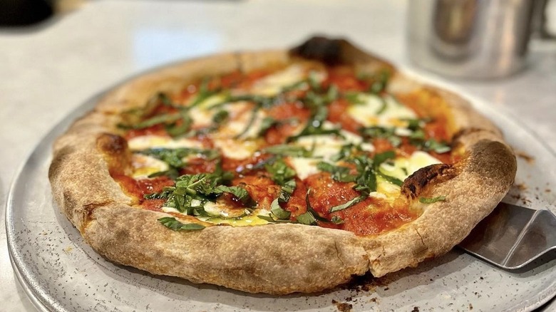 a margherita pizza