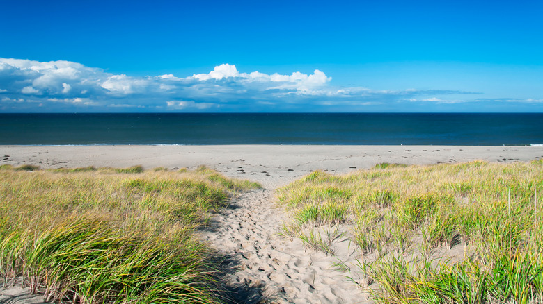 Cape Cod National Seashore