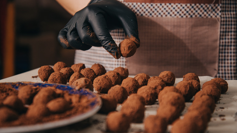 Hand holding chocolate-covered truffles