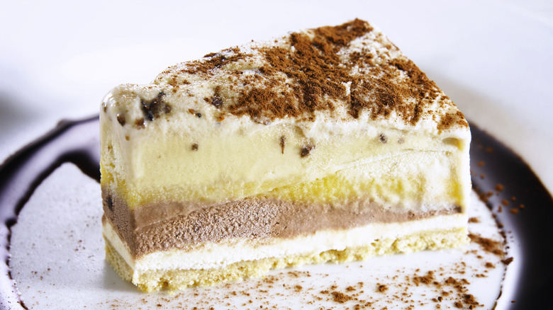 Slice of ice cream cake 