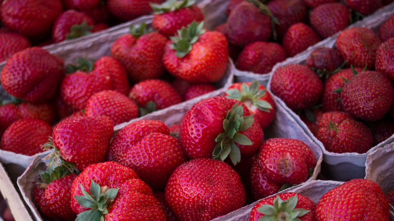 Cartons of strawberries