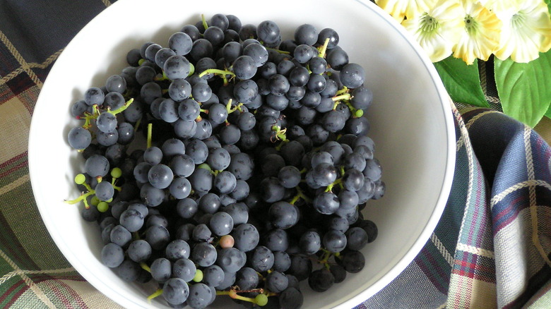 Valiant grapes in a white bowl