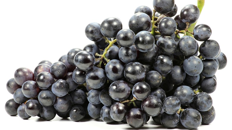 Black Muscat grapes on white background