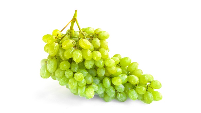 Bunch of Centennial grapes on a white background