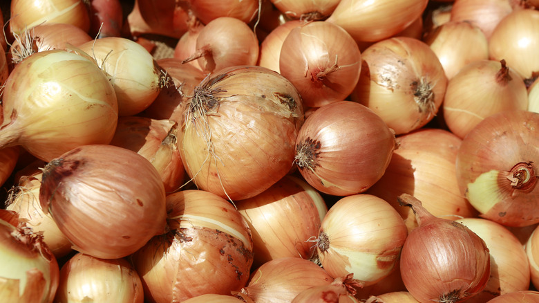 Pile of whole yellow onions