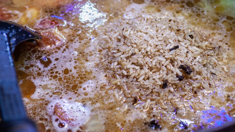 rice in dark cajun roux