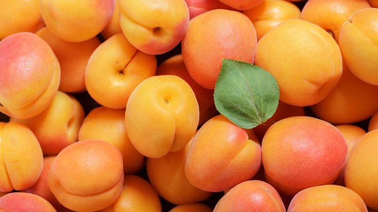 close up of many apricots