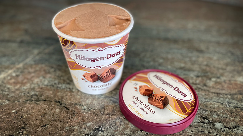 Häagen-Dazs Chocolate Ice Cream