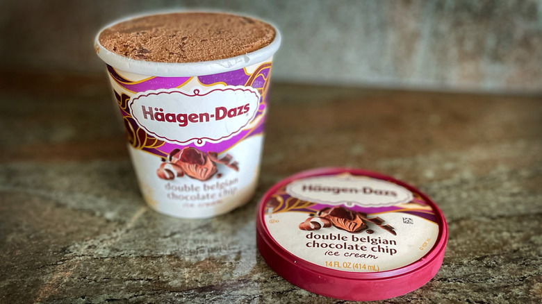 Häagen-Dazs Double Belgian Chocolate Chip Ice Cream