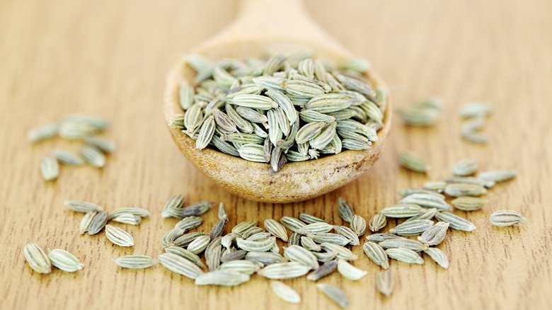 Fennel seeds in spoon