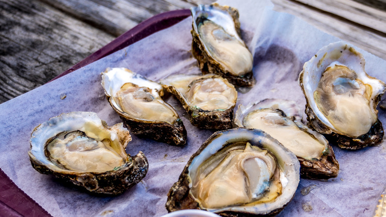 Apalachicola oysters shucked on tray