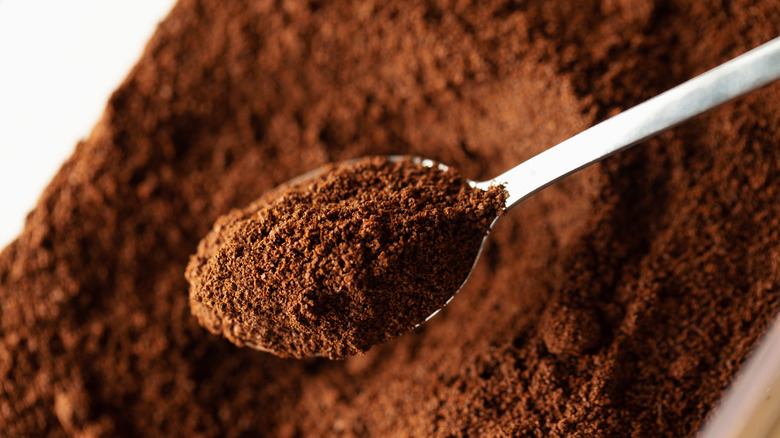 Spoonful of ground coffee