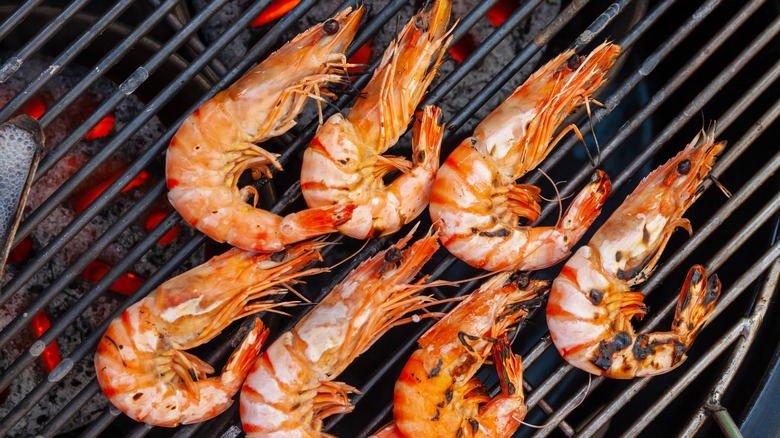 Grilled bay shrimp