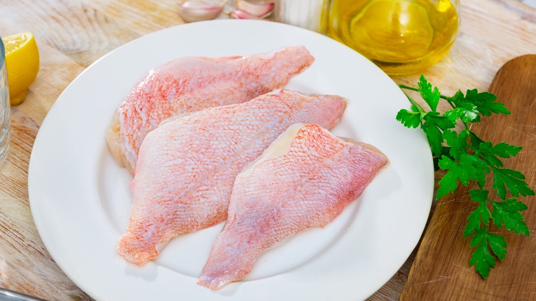 Rockfish filets on white plate