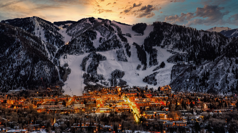 Aspen in winter