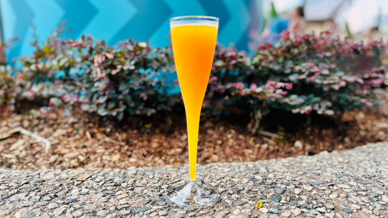 Tropical Mimosa drink