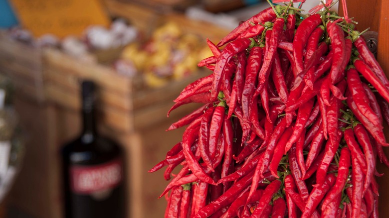 Fresh Calabrian chiles